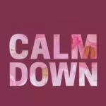 دانلود آهنگ calm down krewella